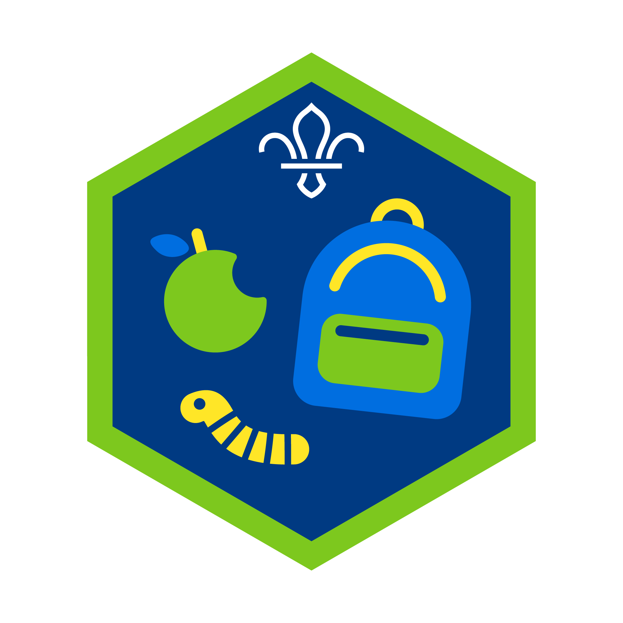 All Adventure Challenge Award - Click For Details